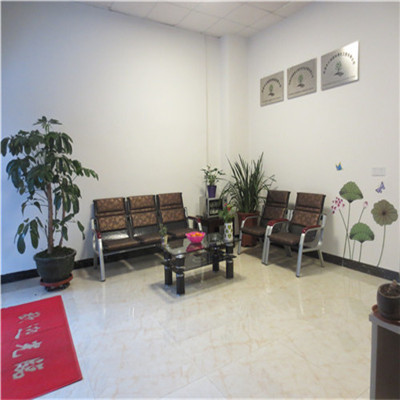 河源電梯口花卉租擺養(yǎng)護 一站式綠植后期服務與批發(fā)設計解決方案